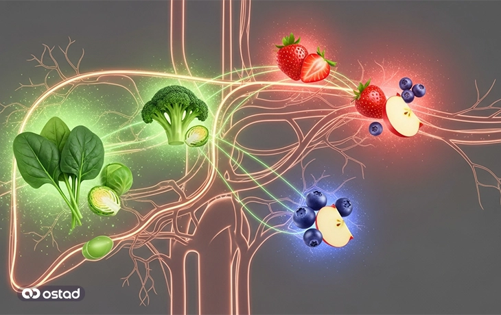 سبزیجات و میوه‌ها برای درمان کبد چرب