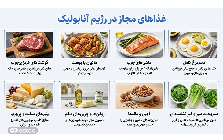 غذاهای مجاز در رژیم آنابولیک
