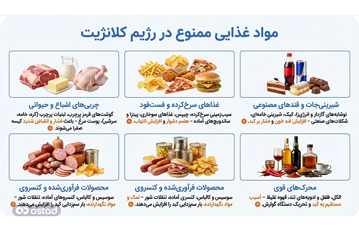 مواد غذایی ممنوع در رژیم کلانژیت