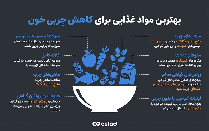 مواد غذایی مفید برای کاهش چربی خون