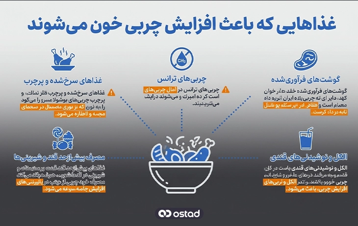 غذاهای مضر برای چربی خون 