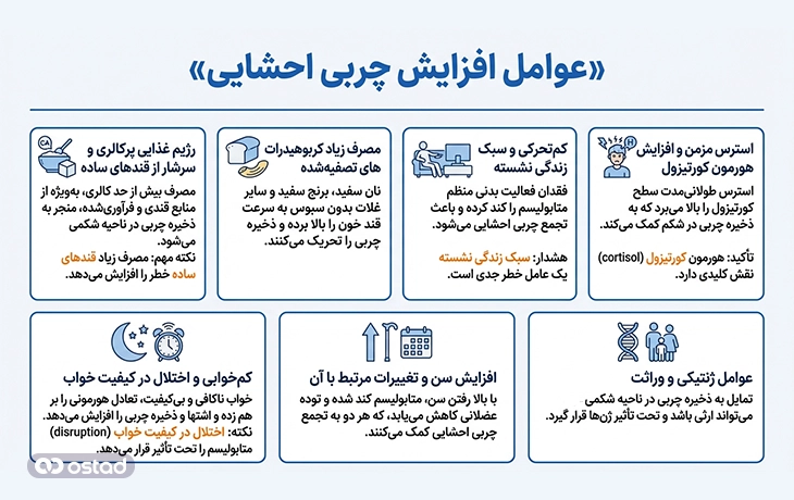 عوامل افزایش چربی احشایی