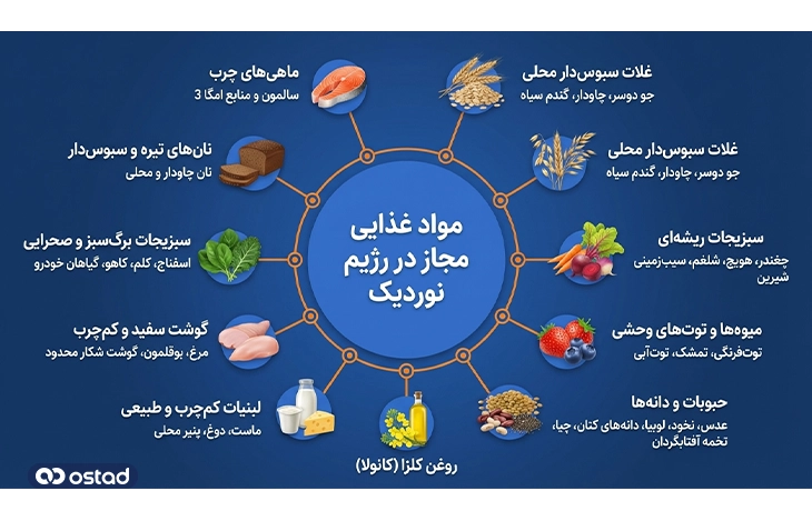 مواد غذایی مجاز در رژیم نوردیک