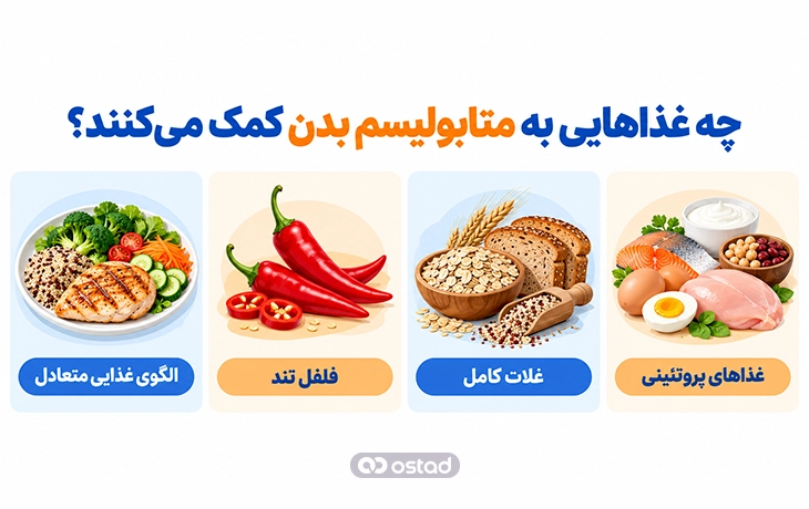 اینفوگرافیک بهترین غذاها برای افزایش متابولیسم کدامند؟