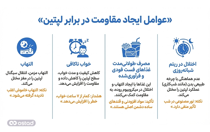 اینفوگرافیک عوامل ایجاد مقاوت در برابر لپتین