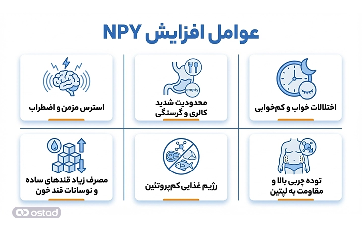 اینفوگرافیک عوامل افزایش NPY