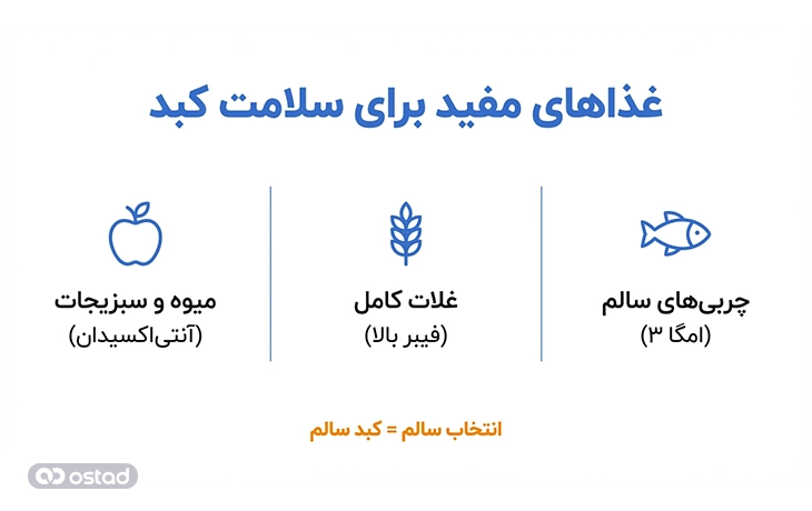 اینفوگرافی آموزش غذاهای مفید برای سلامت کبد