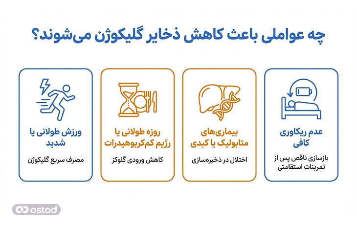 اینفوگرافی آموزش عواملی که باعث کاهش ذخایر گلیکوژن می‌شوند
