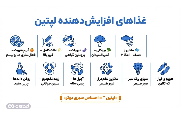 اینفوگرافی آموزش غذا‌هایی که سطح لپتین را افزایش می‌دهند