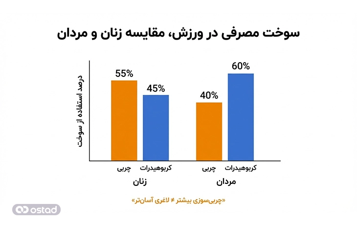 اینفوگرافی آموزشی مقایسه سوخت مصرفی در ورزش برای زنان و مردان