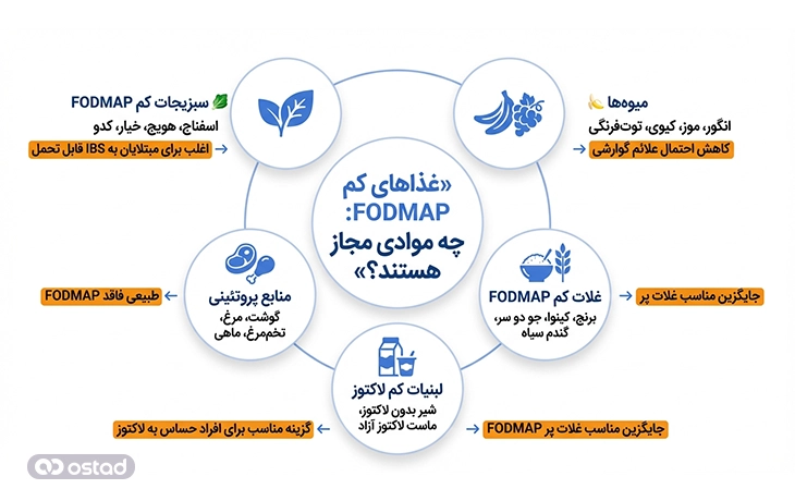 اینفوگرافی شرح غذا‌های کم FODMAP که در این رژیم مجاز هستند.