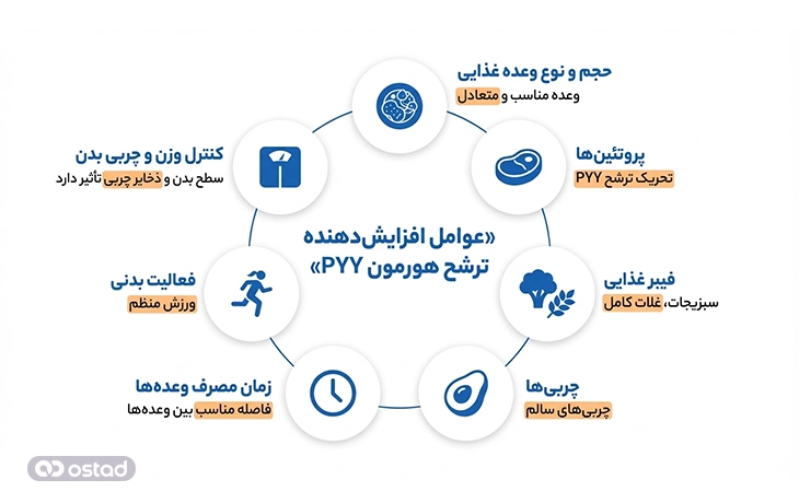 اینفوگرافی آموزش عواملی که ترشح هورمون PYY را افزایش می‌دهند