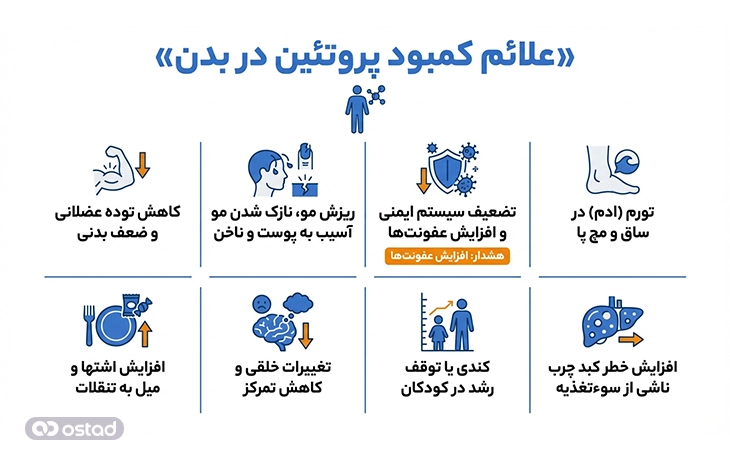 علائم کمبود پروتئین در بدن