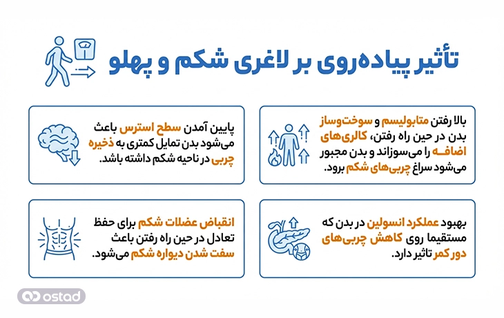 تأثیر پیاده‌روی بر لاغری شکم و پهلو