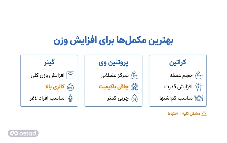 اینفوگرافی معرفی بهترین مکمل‌ها برای افزایش وزن و مقایسه آن‌ها