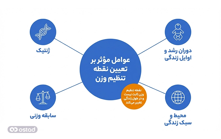 اینفوگرافی شرح عوامل مؤثر بر تعیین نقطه تنظیم وزن