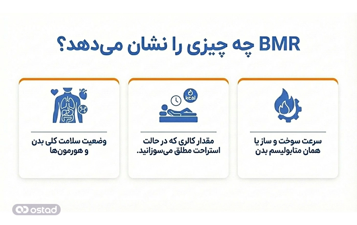 BMR چه چیزی را نشان می‌دهد؟