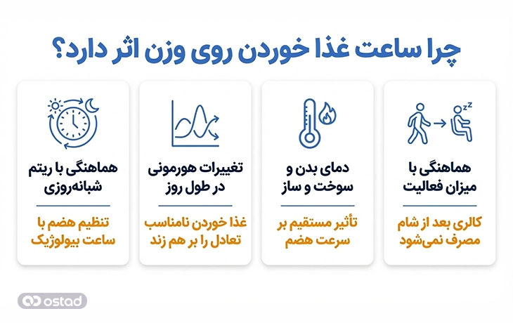 اینفوگرافیک علل تأثیر ساعت غذا خوردن روی وزن 