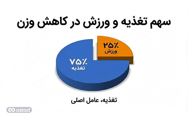 نمودار سهم تغذیه و ورزش در کاهش وزن که نشان می‌دهد عامل اصلی کاهش وزن تغذیه است.