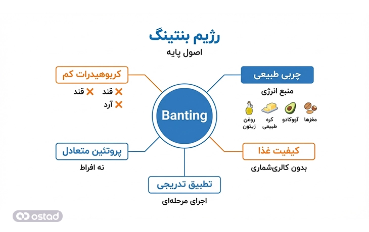 اینفوگرافی آموزش اصول اصلی رژیم بنتینگ