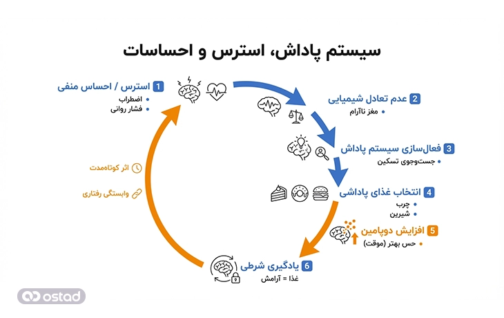 نمودار توضیح ارتباط سیستم پاداش با استرس و احساسات