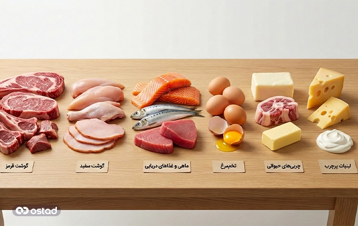 غذا‌های مجاز در رژیم کارنیور