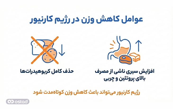 عوامل کاهش وزن در رژیم کارنیور
