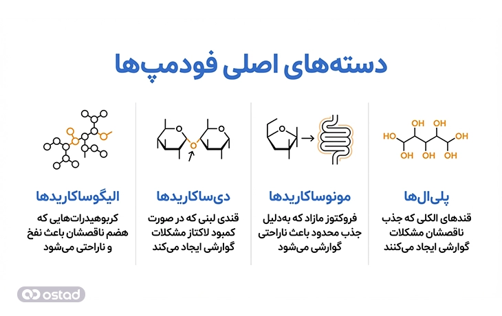 دسته‌های اصلی فودمپ‌ها