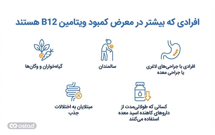 افرادی که بیشتر در معرض کمبود ویتامین‌ B12 هستند 