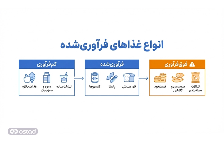 اینفوگرافی انواع غذاهای فرآوری‌شده