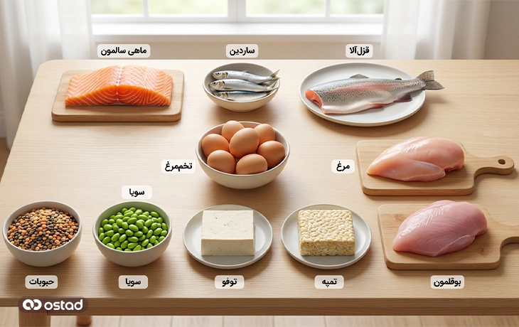 پروتئین‌های مناسب آندومتریوز 