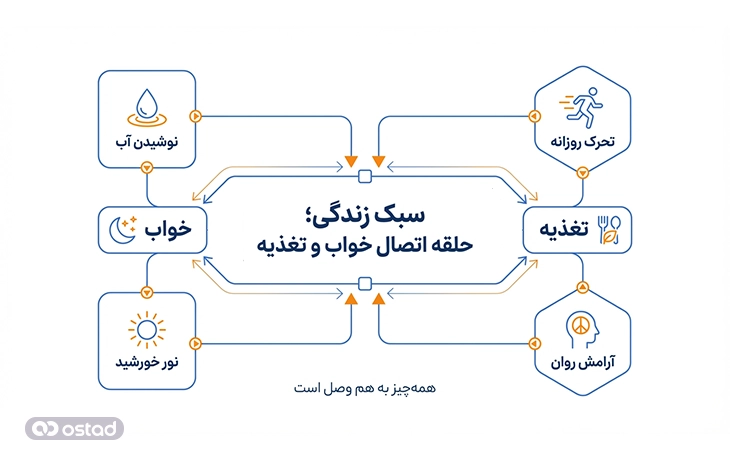 اینفوگرافی  نقش سبک زندگی در ارتباط خواب و تغذیه