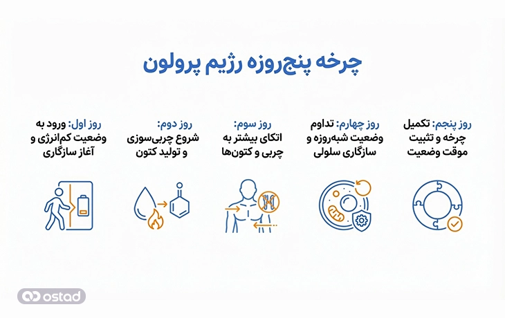 چرخه پنج‌روزه رژیم پرولون 