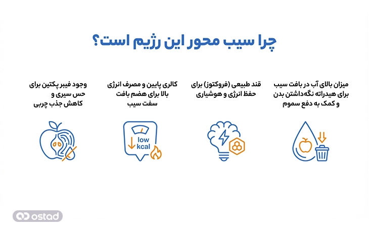 چرا سیب محور این رژیم است؟ 