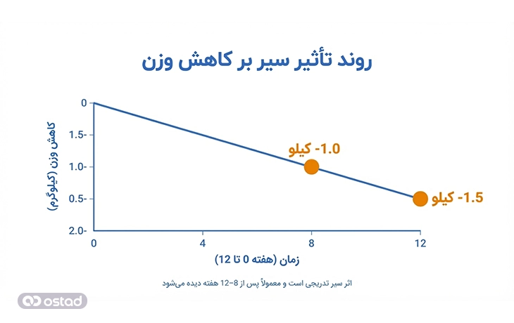نمودار تاثیر سیر بر کاهش وزن