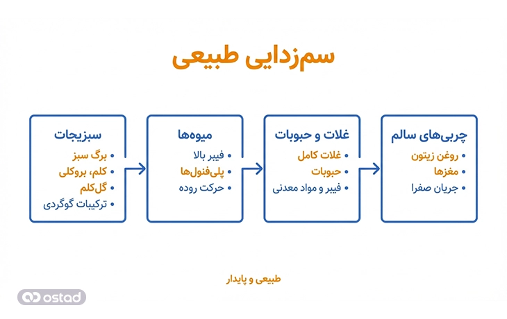 اینفوگرافی مواد غذایی مفید برای سم‌زدایی طبیعی بدن