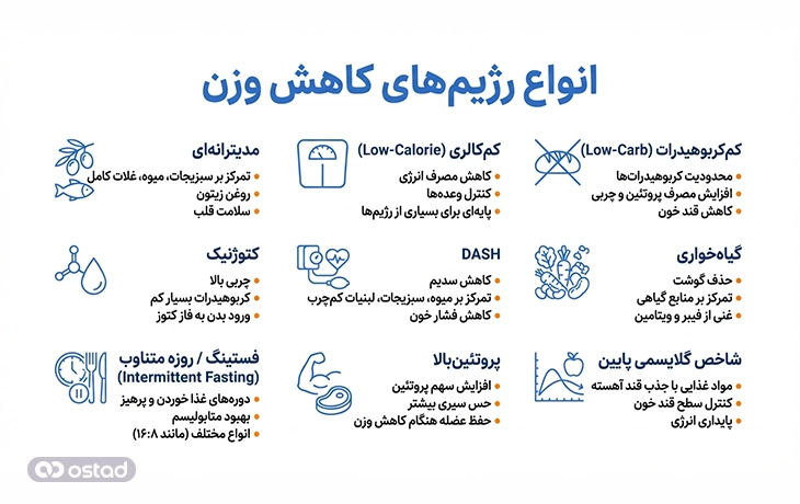 اینفوگرافی انواع رژیم‌های کاهش وزن
