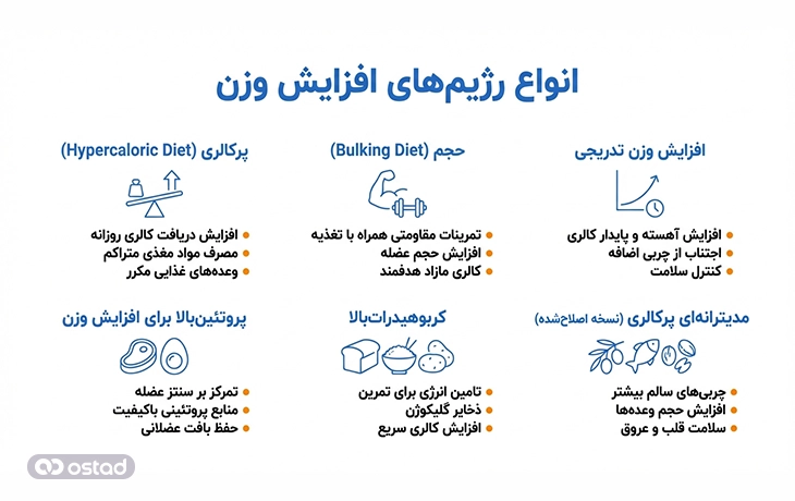 اینفوگرافی انواع رژیم‌های افزایش وزن