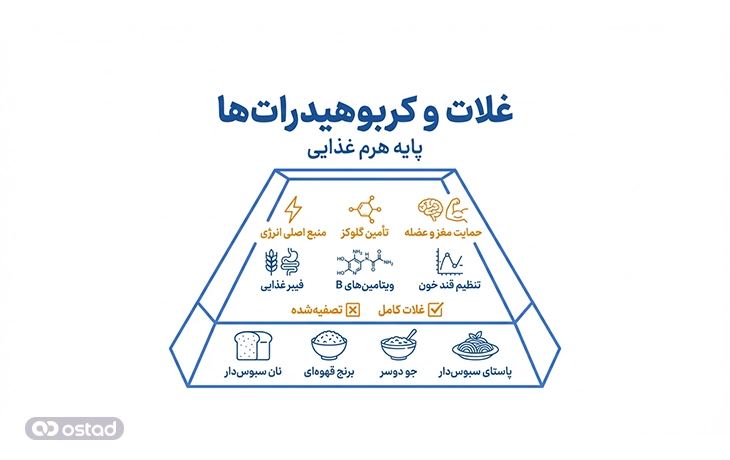 اینفوگرافی گروه غلات و کربوهیدرات‌ها (پایه هرم)