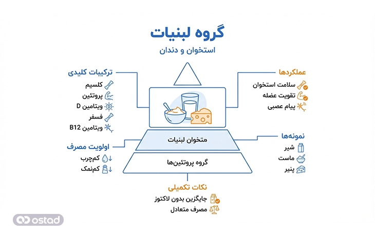 اینفوگرافی گروه لبنیات در هرم غذایی