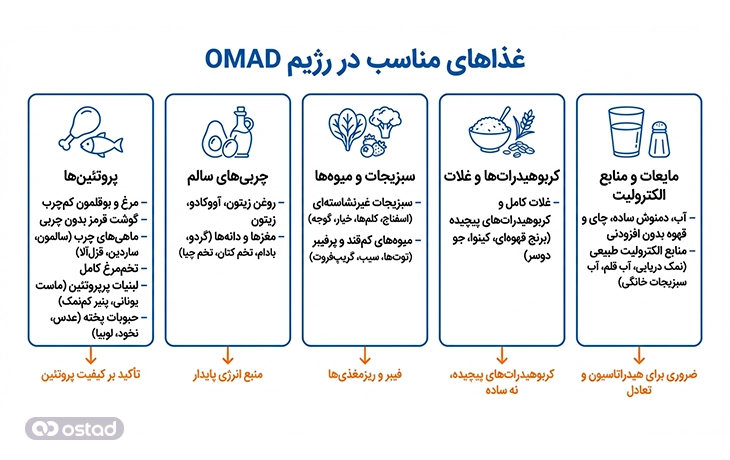 اینفوگرافی در رژیم OMAD چه غذاهایی باید خورد؟