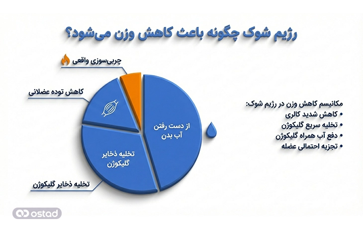 نمودار رژیم شوک چگونه باعث کاهش وزن می‌شود؟
