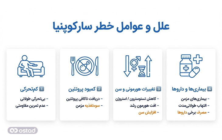 اینفوگرافی آموزش علل و عوامل خطر سارکوپنیا