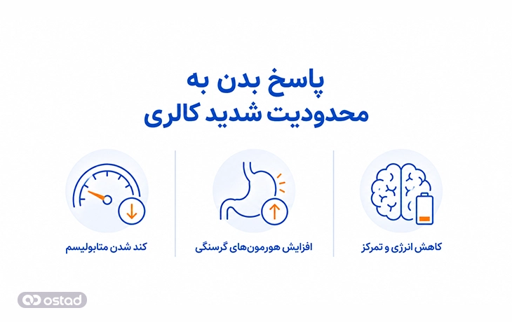 پاسخ بدن به محدودیت شدید کالری