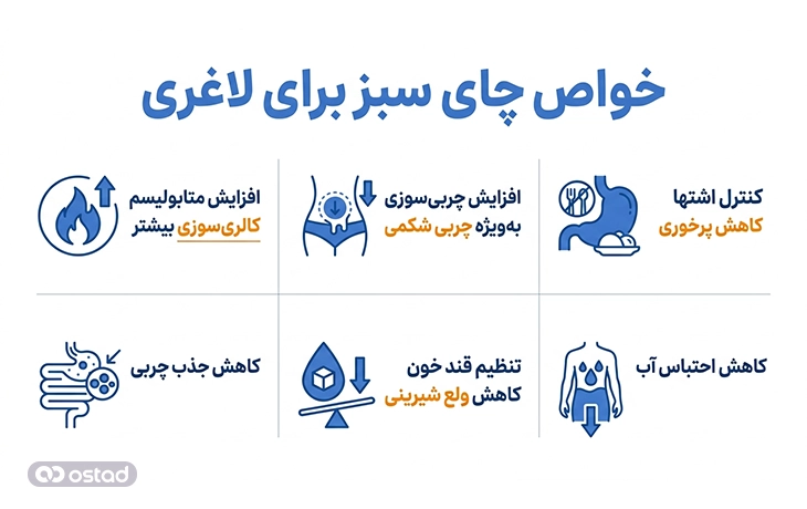 اینفوگرافی خواص چای سبز برای لاغری