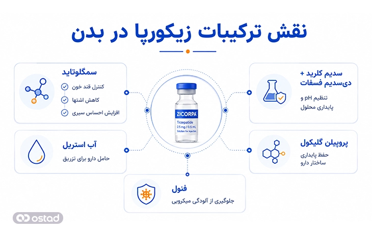 اینفوگرافیک نقش ترکیبات زیکورپا در بدن
