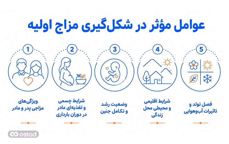 عوامل مؤثر در شکل‌گیری مزاج اولیه