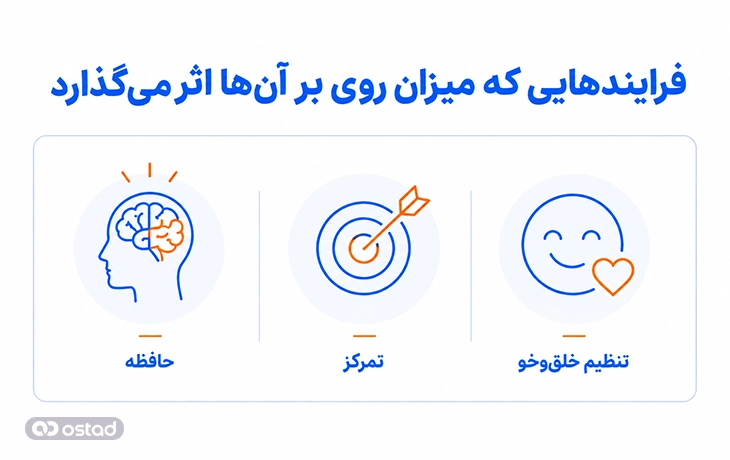 فرایند‌هایی که میزان روی بر آن‌ها اثر می‌گذارد