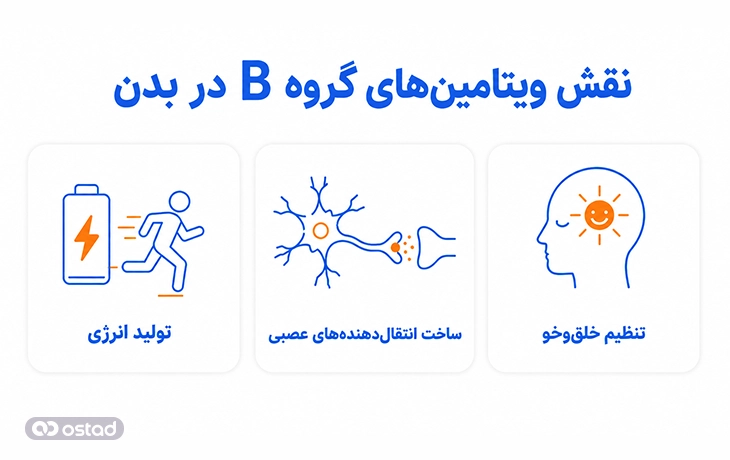 نقش ویتامین‌های گروه B در بدن