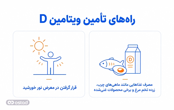 راه‌های تأمین ویتامین D